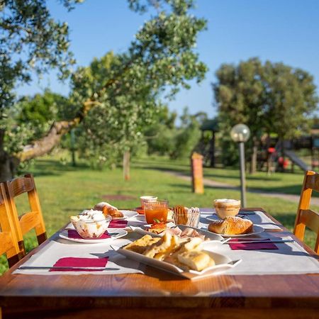 Hotel Glamping Gli Etruschi Piombino Exteriér fotografie