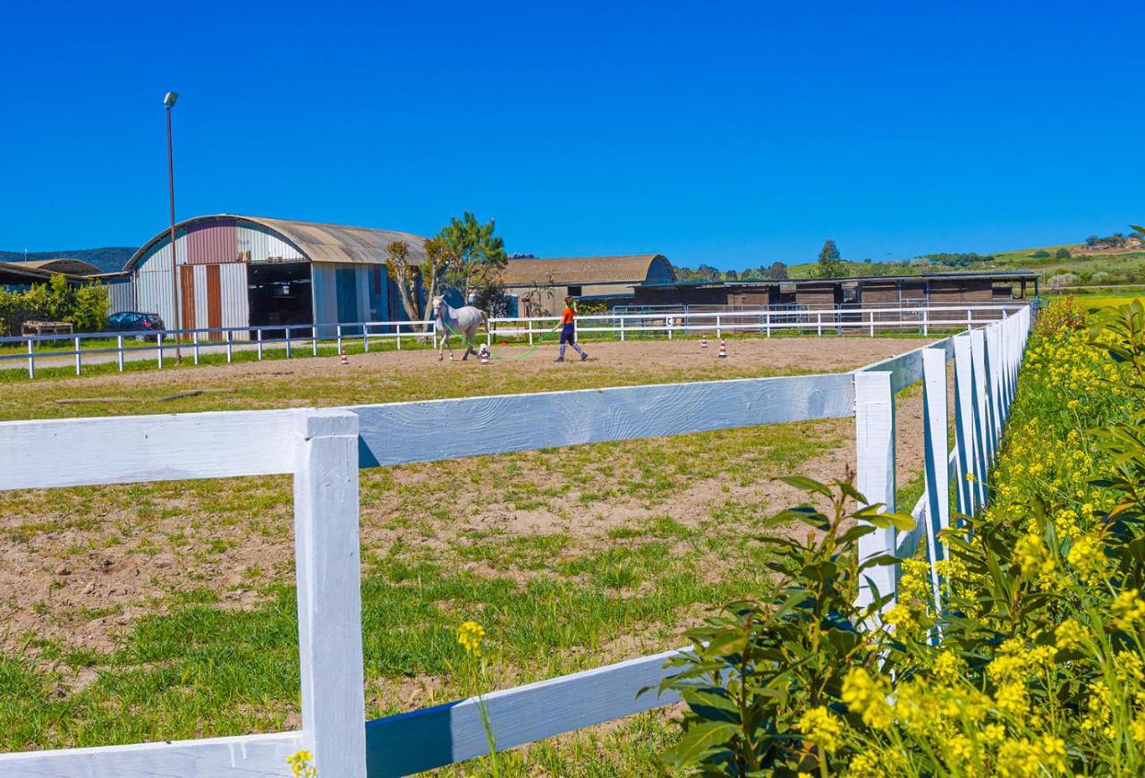Hotel Glamping Gli Etruschi Piombino Exteriér fotografie
